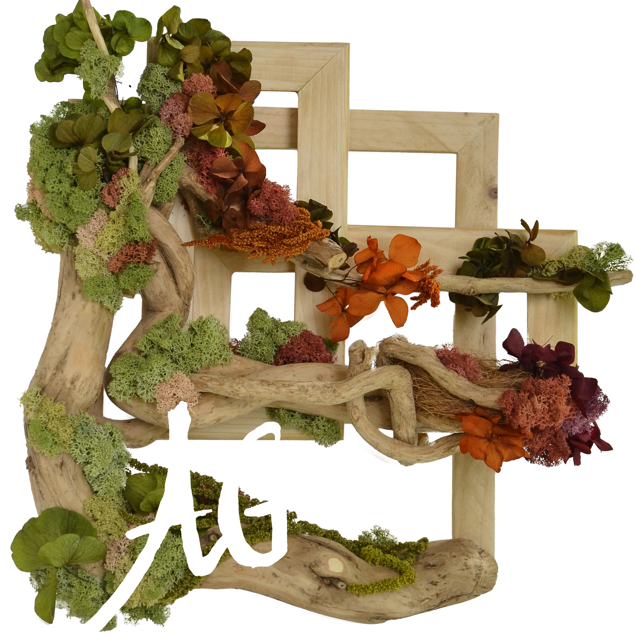 Licheni Art